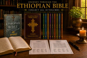 Shop Activities & Word Search